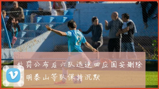 处罚公布后六队迅速回应国安删除声明泰山等队保持沉默