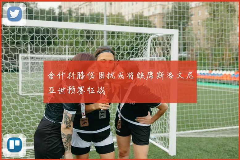 舍什科膝伤困扰或将缺席斯洛文尼亚世预赛征战